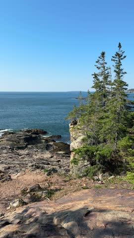 Rocky Atlantic coastline along the Great Head Trail in Acadia National Park, Maine, with evergreen trees, ocean cliffs, and clear blue water.