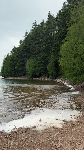 Rocky shoreline of Jordan Pond in Acadia National Park, Maine, with gently moving water, dense evergreen forest, and natural foam gathering along the edge.