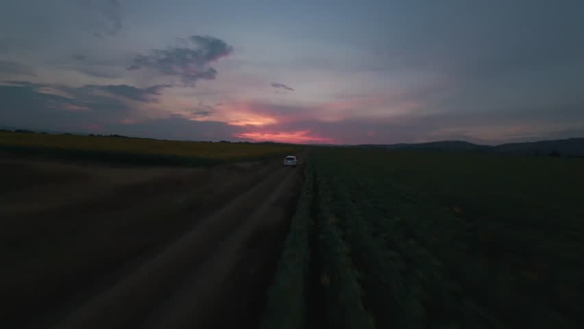 Cinematic FPV drone flight transitioning from a rural dirt road into a blooming sunflower field at sunset near Sofia, Bulgaria.