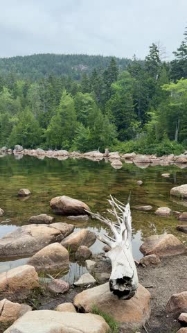 Scenic view across the rocky shoreline of Jordan Pond in Acadia National Park, Maine, with calm water, forested hills, and a weathered fallen tree.
