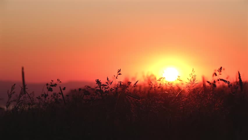Golden sunlight glimmers as the sun begins to set over a serene grassy field, casting a tranquil and warm glow in the evening sky.