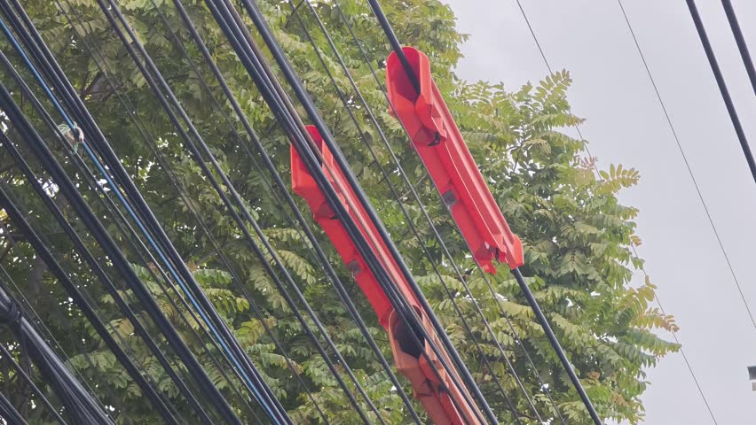 Pan right of orange safety guards on high voltage overhead power lines near trees. Electrical network maintenance and vegetation management protection.