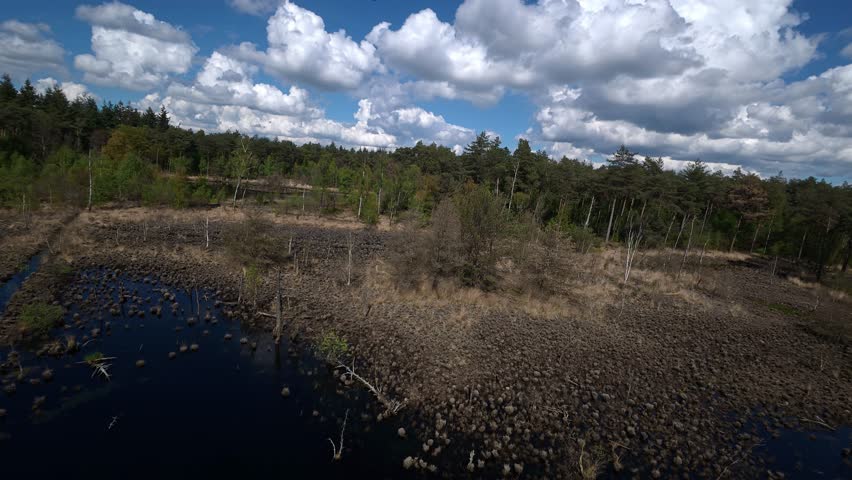 A low drone pass over an open bog reveals reflective water, marsh grasses, scattered birch trees, and a peaceful wetland landscape framed by surrounding forest.