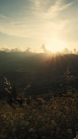 Sunlit hillside landscape fading into soft morning haze