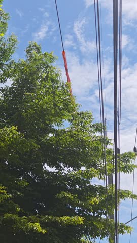 Pan right of orange safety guard on high voltage overhead power lines near green trees. Electrical network maintenance and vegetation management protection under a blue sky.