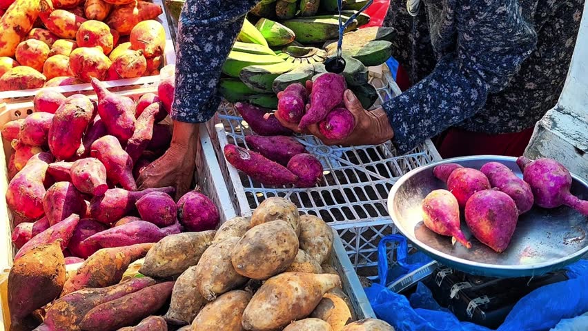 A local vendor weighs fresh sweet potatoes for customers at a traditional open-air market stall, highlighting daily commerce and fresh produce. 4K