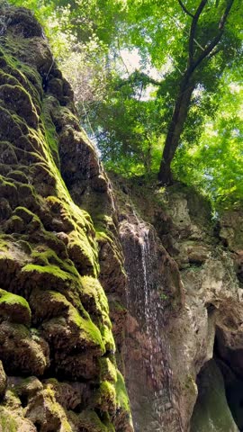 The camera looks up at the moss-covered rocks, along which a thin stream of the waterfall flows, and at the top you can see the green crowns of trees. The concept of wildlife, forest canyon, pristine