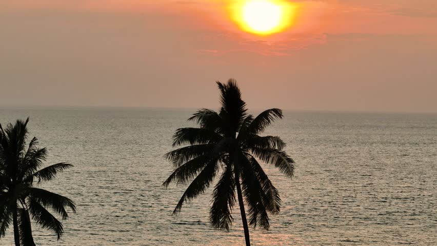 Orange hues of sunset spread over the sea with tall palm trees. Ko Pha Ngan, Thailand.