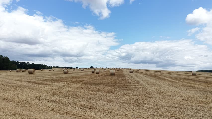 Belgium  Houyet 19.07.2026 Round hay bales scattered on a harvested wheat field under a cloudy sky. Scenic agricultural landscape with straw bales after harvest season in the countryside.