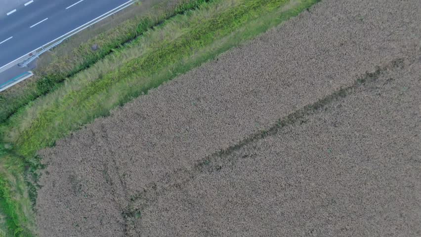 Top-down aerial tracking view following a two-lane country road lined with grass and trees between fields