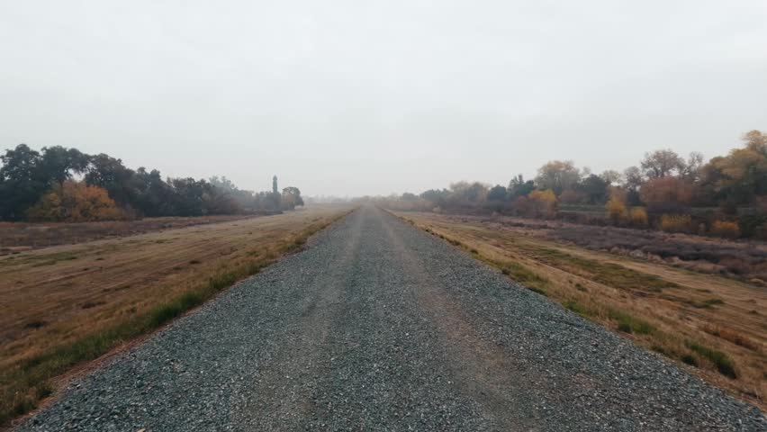 A long, straight gravel road or levee bisects a flat, overgrown landscape with autumn-colored trees under a vast, gray sky