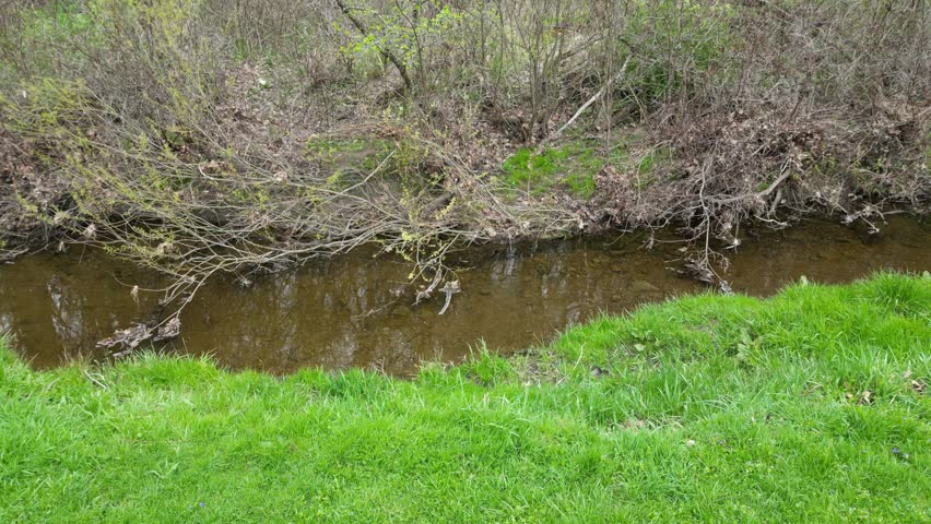 A drone footage of a narrow stream bordered by a bright green grassy bank and dense, leafless winter brush