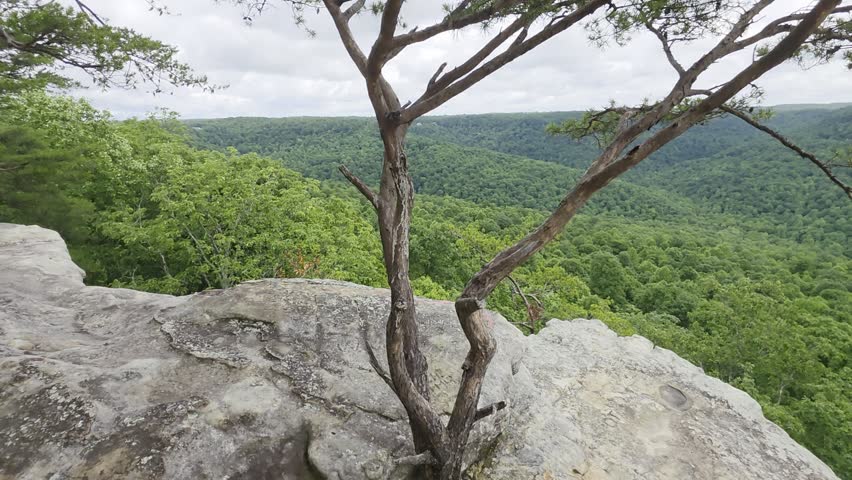 Tennessee sandstone rock overlook forest valley landscape background 
