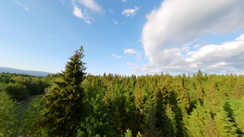 Dynamic aerial shot of a woman walking across a wooden bridge over a flowing river, surrounded by lush green landscape and forests under a bright sky.