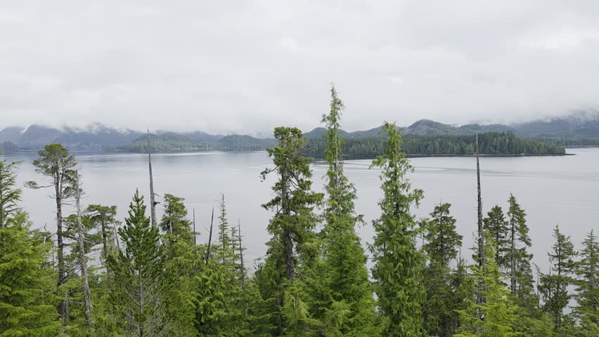 Alaskan lake forest panorama cloudy background scenery 
