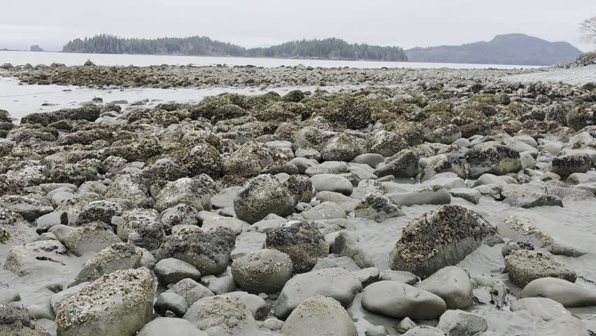 Olympic National Park Washington shoreline rocky coast Pacific Ocean waves