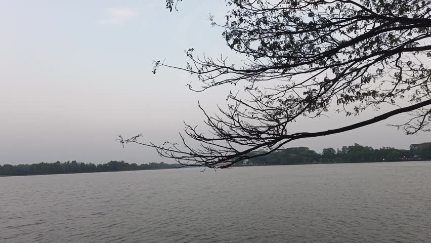Serene view of a calm lake framed by tree branches at dusk.
