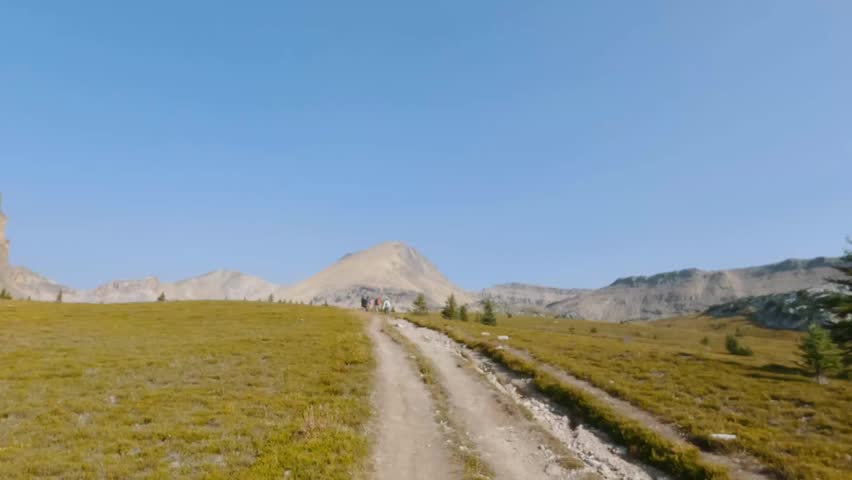 A slow-motion shot of the final stretch of Helen Lake Trail in golden tundra in Banff National Park, Alberta leads to distant peaks under a blue sky