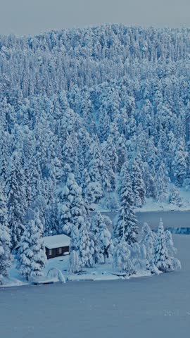A Small Cabin Surrounded By Dense Snow-covered Conifer Trees In Winter - Drone, Vertical Shot