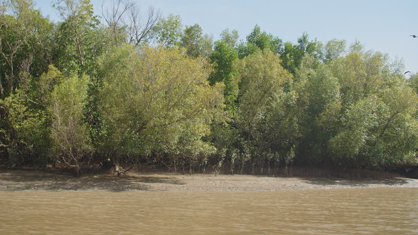 Cruising along the Adelaide River in Australia