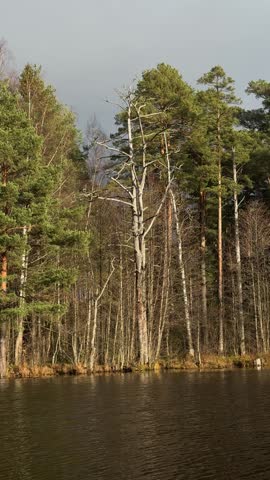autumn forest landscape, sunset, river or lake
