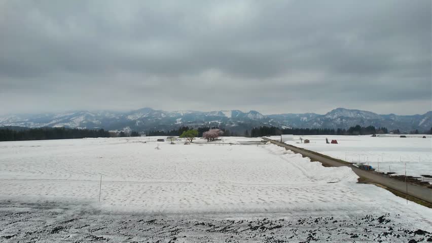 Drone Aerial View of Cherry Blossoms and Snow Covered Countryside in Akasawa Tsunan Niigata Japan
Drone aerial footage of cherry blossoms blooming in the Akasawa area of Tsunan, Niigata Prefecture, Japan. The video captures beautiful sakura trees surrounded by melting snow, rice fields, ponds, and the peaceful rural landscape of early spring.