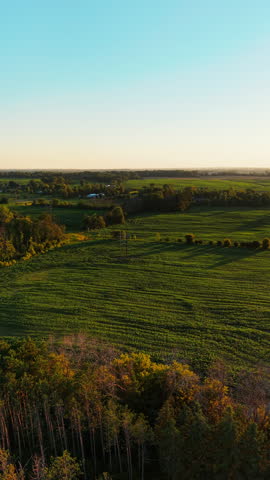 Vertical Aerial of farm fields rolling towards the horizon under clear evening light as long shadows stretch from a distant tree line, useful as calm rural landscape b-roll.