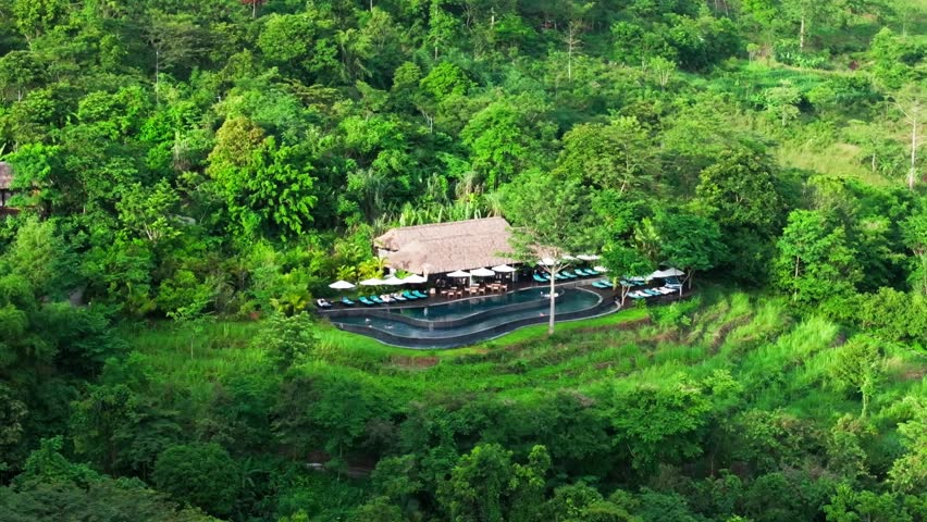 The resort features a stunning pool surrounded by lush greenery and towering trees, offering a serene and picturesque setting for relaxation and rejuvenation.