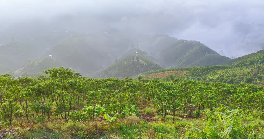 Stunning sunrise landscape in Bao Loc, Vietnam, featuring rolling green hills covered by a magical sea of clouds. Soft morning light illuminates the misty valleys and tropical highlands, creating a peaceful panoramic scenery perfect for travel, nature, and adventure photography themes