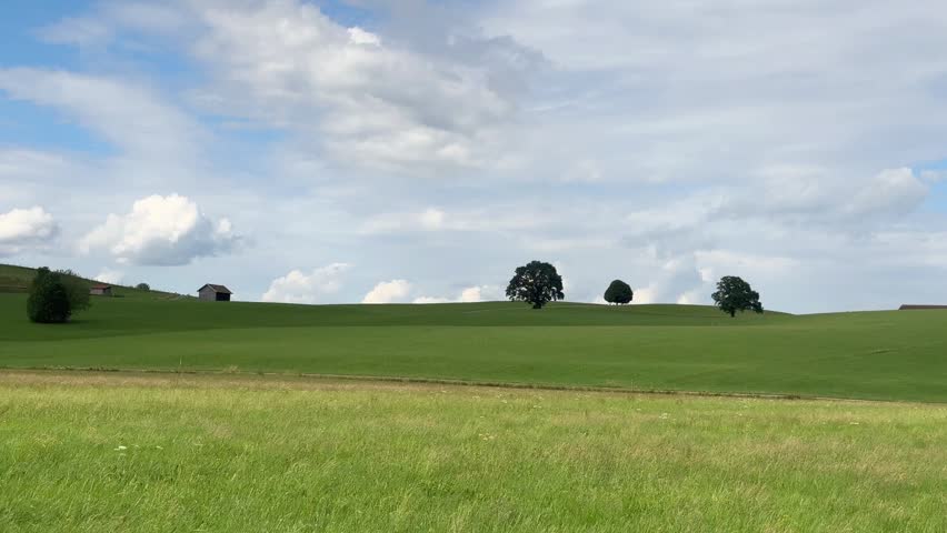Idyllic Green Meadow with Rolling Hills and Trees Under a Cloudy Sky