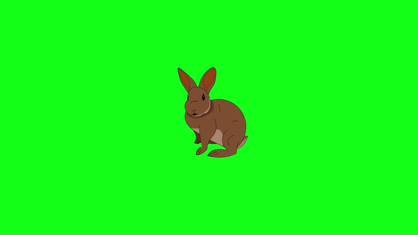 A charming 2D vector animation of a fluffy brown rabbit sitting calmly and twitching its ears on a solid green screen background. Great for children