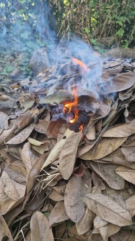 Dry leaves catching fire slowly and burning until the flames grow larger