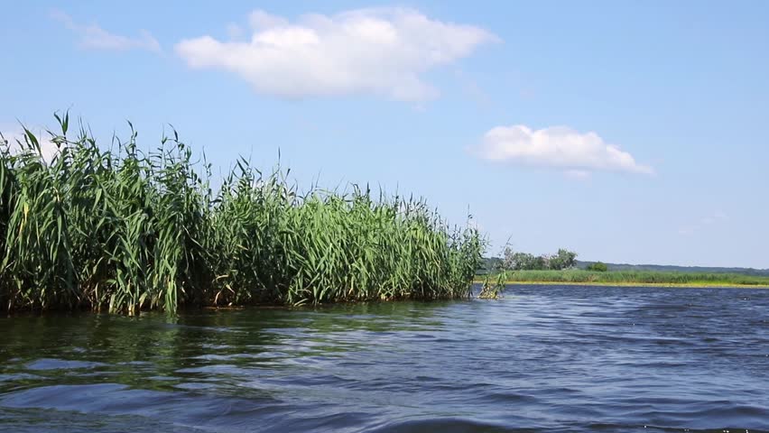 Windy lake landscape with rolling waves and swaying reeds viewed from a boat