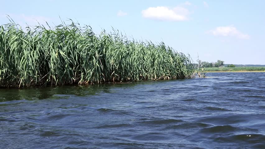 Windy lake landscape with rolling waves and swaying reeds viewed from a boat