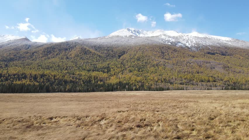 Aerial drone footage of Kanas Nature Reserve in Xinjiang, China, showcasing vibrant autumn forests, early winter snow, and majestic snow-capped mountains.