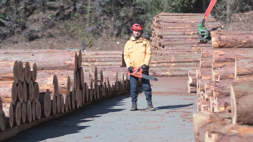 Japanese Man in His 30s Walking with Chainsaw Through Lumber Yard Shooting cooperation: Tama Forest Center Cooperative