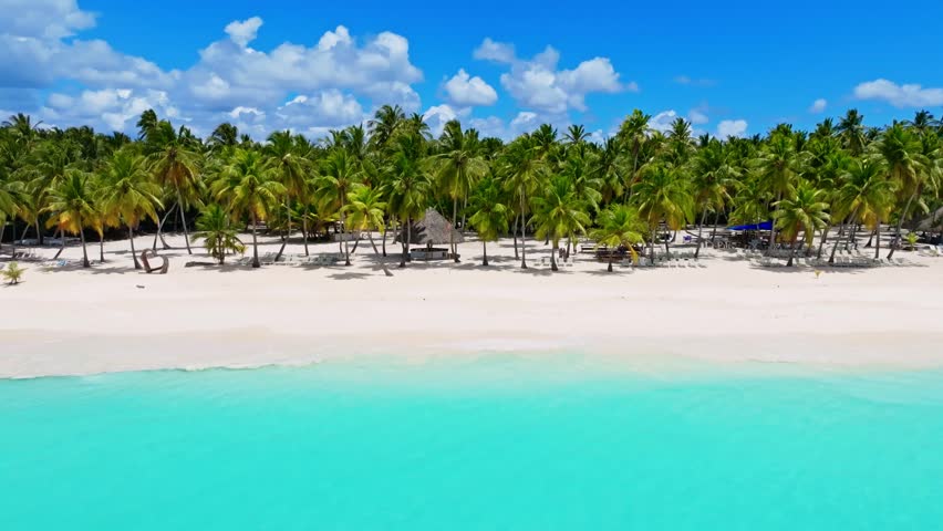 An exotic beach with coconut palms and a turquoise ocean on a paradise coast. A tranquil summer getaway or a festive landscape. Summer vacation and the concept of a tropical Caribbean beach.