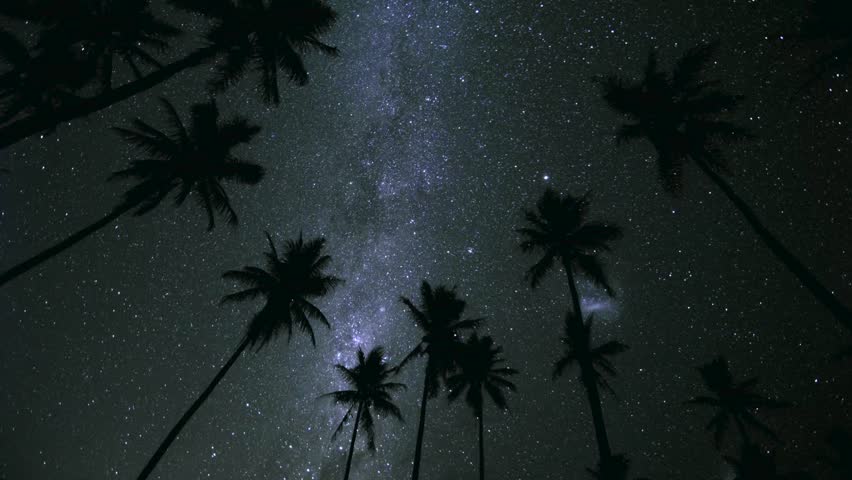 A breathtaking time-lapse of the Milky Way stretching across a crystal-clear night sky above silhouetted palm trees. The Large and Small Magellanic Clouds glow near the southern horizon while thousands of stars slowly rotate across the heavens.