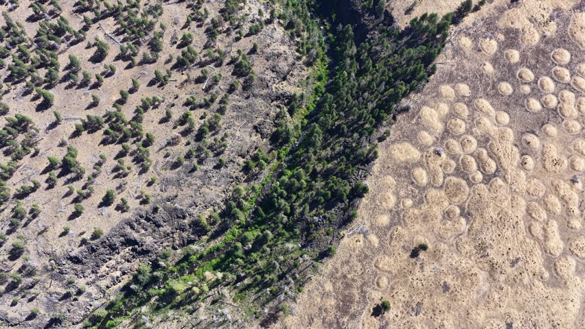 Over millennia Mill Creek has carved a 230-foot deep canyon on the Central Oregon plateau between Bend and Portland. This beautiful area of high desert is part of the Warm Springs reservation.