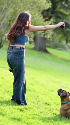 Young woman playing with her boxer dog in a green park. Energetic dog jumping and running to catch a pinecone from her owner