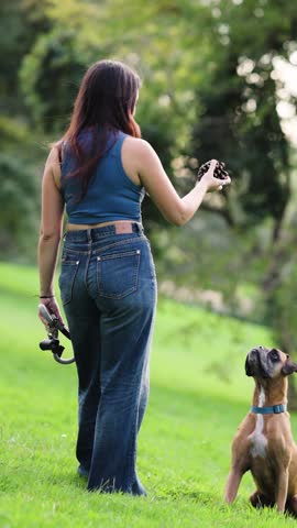 Rear view of a woman in denim jeans playing with her boxer dog. She is throwing a pinecone for her pet to fetch on a lush green meadow