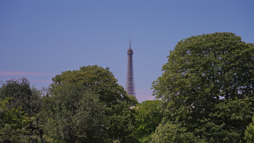Eiffel Tower Above Trees In Paris