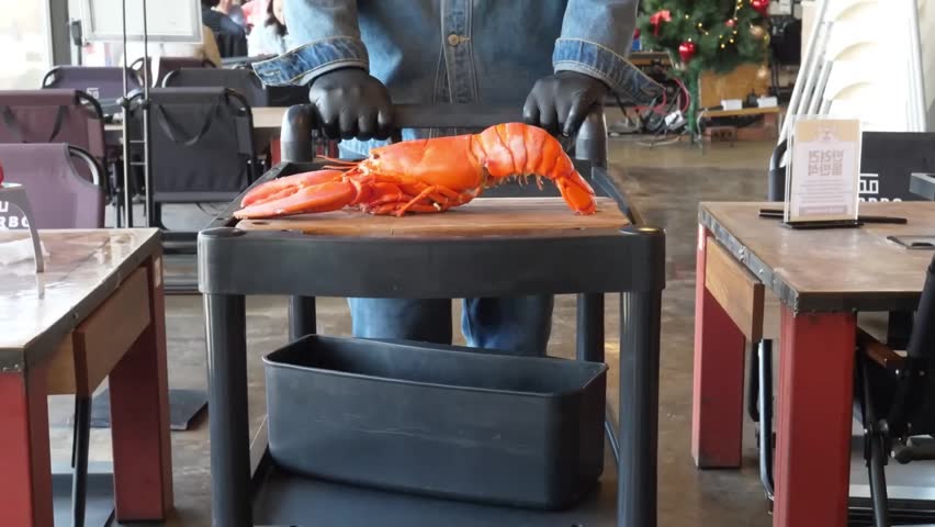 A close-up shot of a massive, bright red cooked lobster being prepared for service. The chef, wearing black gloves and a denim shirt, stands behind a mobile black service cart holding a wooden cutting