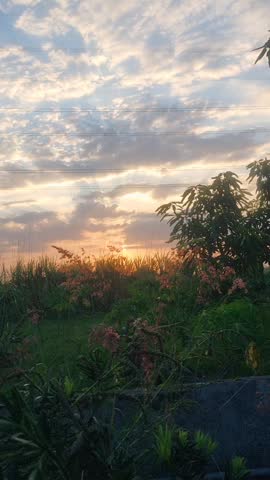 Beautiful golden sunset over green rural field with trees and dramatic cloudy sky. Warm orange sunlight with silhouettes of plants and power lines. Perfect for nature, countryside, hope, new beginning, and peaceful video content.`