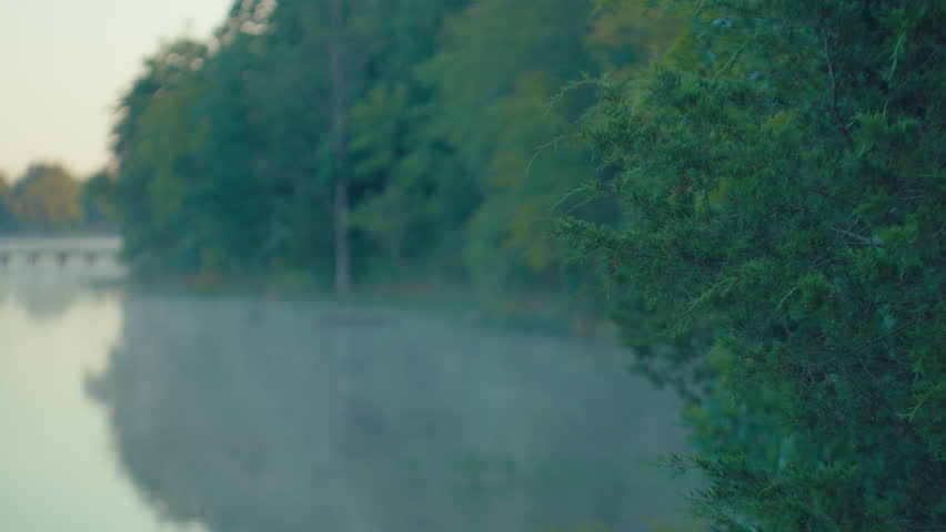 Misty Morning Lakeside Scene with Bush Foreground and Bridge Reflection