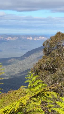 Static wide shot of sandstone cliffs and eucalyptus forest in Blue Mountains National Park, Australia.