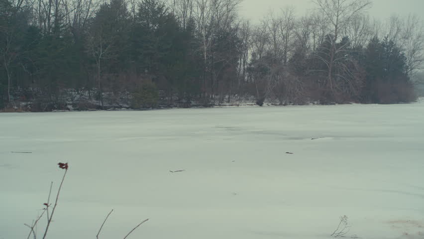 Serene Winter Landscape Over Frozen Lake with Bare Trees and Handheld Overcast Sky