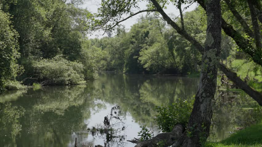 Still river winds through lush green trees reflecting on the water surface