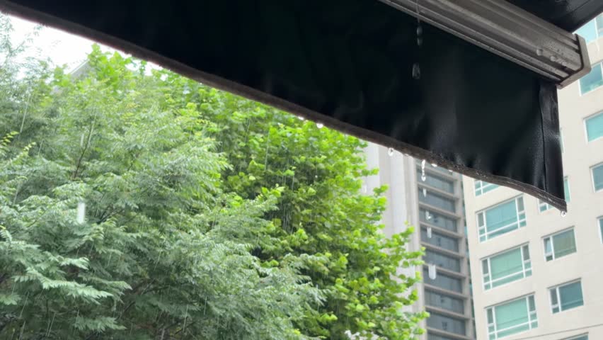 Raindrops dripping from the edge of a dark awning during summer monsoon rain, with lush green street trees and apartment buildings in the background, Seoul, South Korea