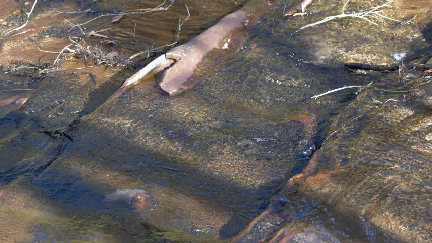 Static high-angle shot of shallow water rippling over textured sandstone rocks in Wentworth Falls.